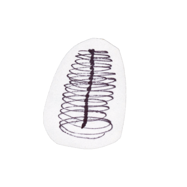 A hand-drawn spiral with a solid vertical line running through its center, drawn in black ink on a cut-out white background.