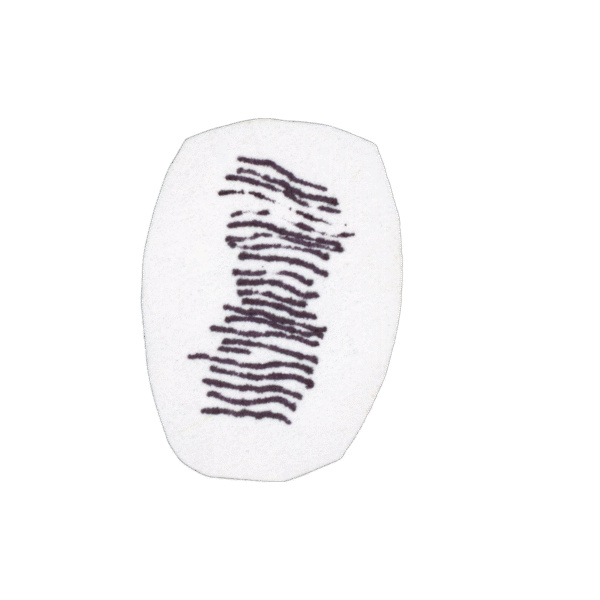 An oval-shaped white object with a series of horizontal black wavy lines drawn across its center.
